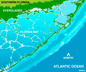 Gif image of Florida Bay
