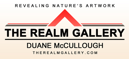 The Realm Gallery logo