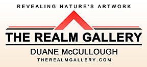 Jpg rgsmall of The Realm Gallery