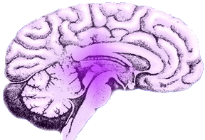 gif image of the brain glowing