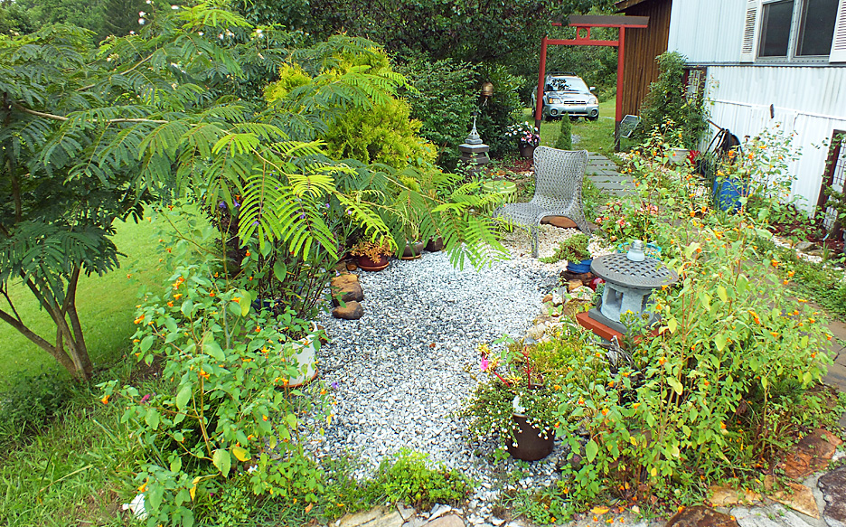image of our garden in 2017