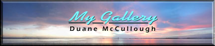 JPG image of Duane McCullough's Gallery logo